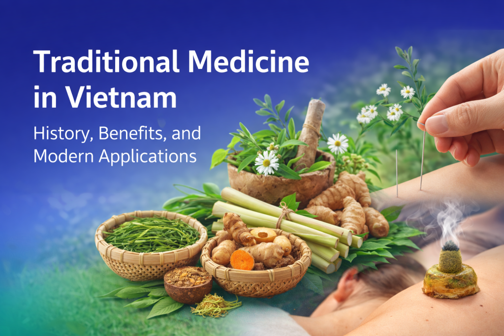 Traditional Medicine in Vietnam banner featuring herbal remedies, acupuncture therapy, and holistic healing practices.